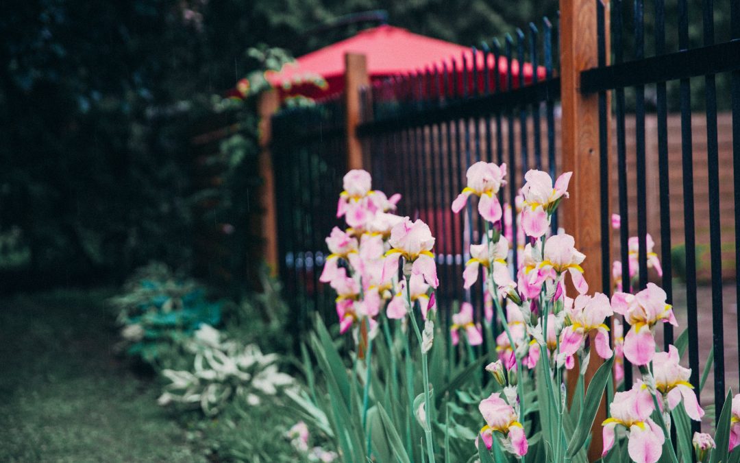 spring yard cleanup near me victoria