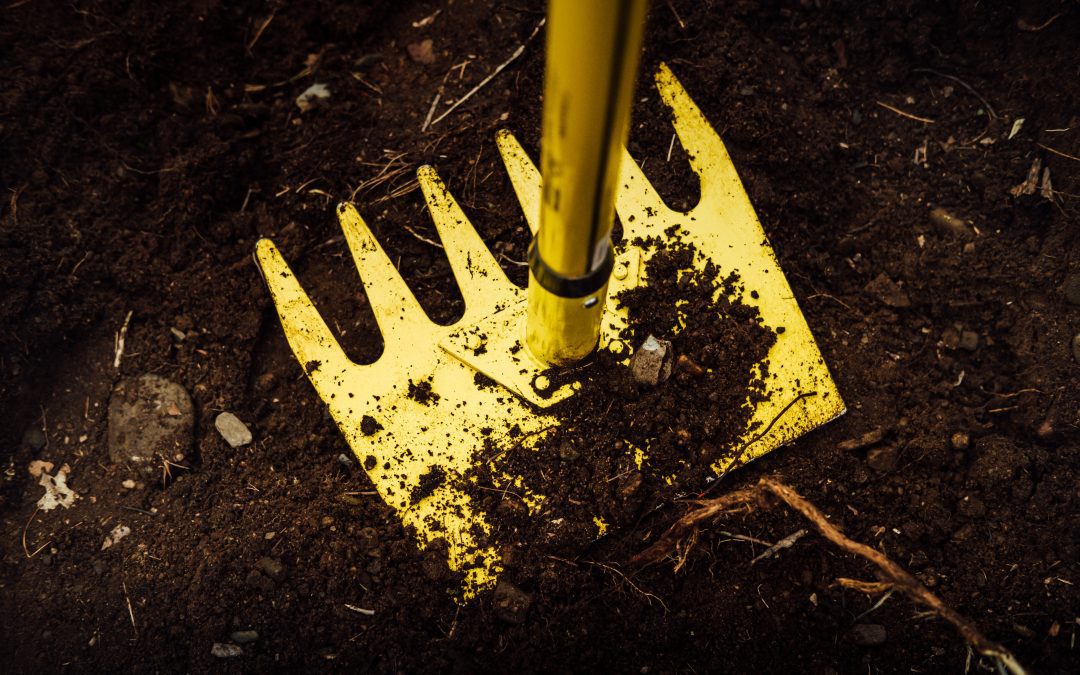 Top-Dressing: Your Questions Answered